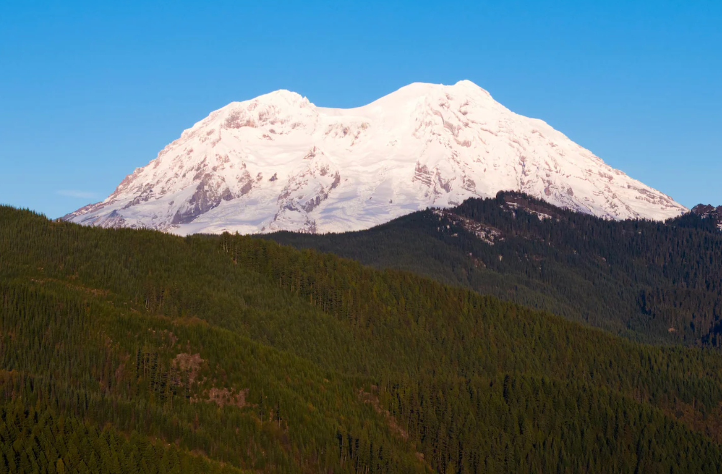 Mt Tahoma